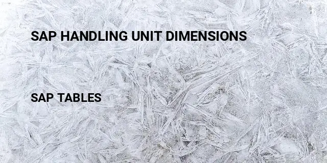 Sap handling unit dimensions Table in SAP