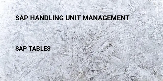 Sap handling unit management Table in SAP