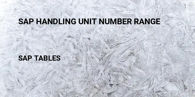 Sap handling unit number range Table in SAP