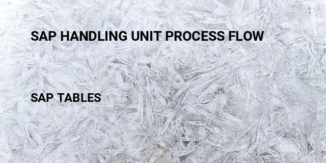 Sap handling unit process flow Table in SAP