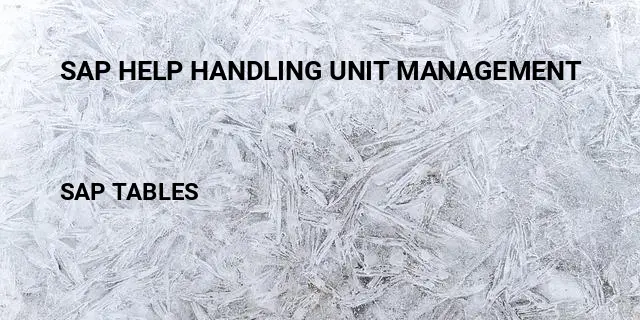 Sap help handling unit management Table in SAP