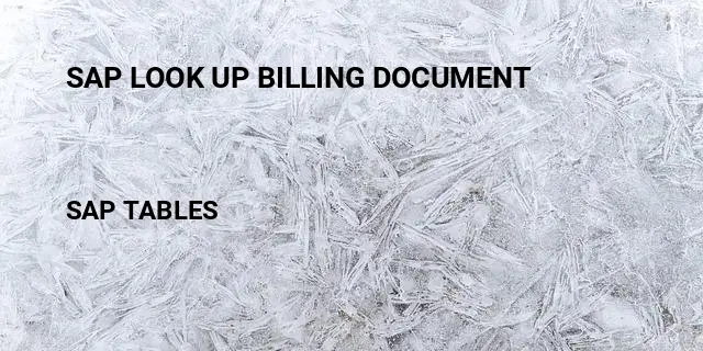 Sap look up billing document Table in SAP
