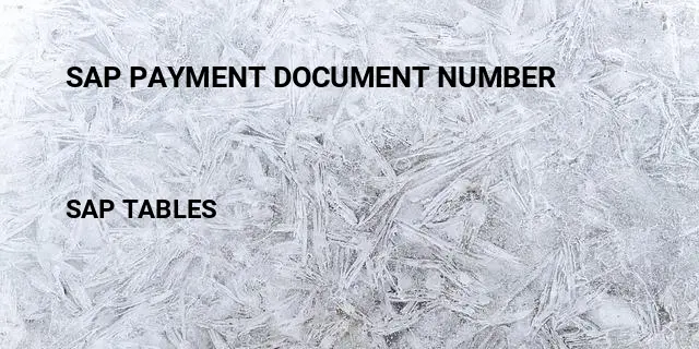 Sap payment document number Table in SAP