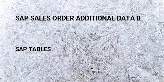Sap sales order additional data b Table in SAP