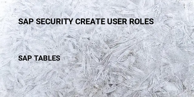 Sap security create user roles Table in SAP
