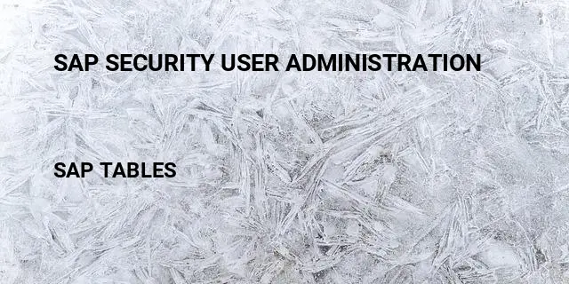 Sap security user administration Table in SAP