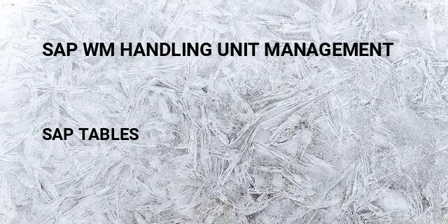 Sap wm handling unit management Table in SAP