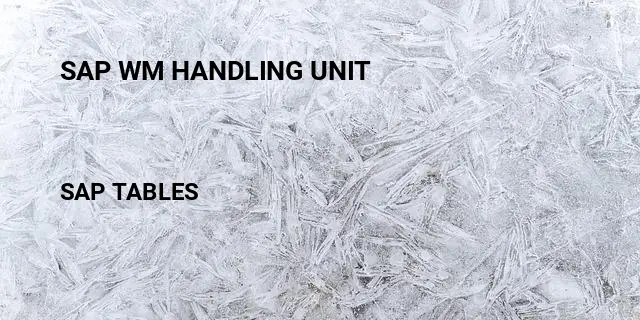 Sap wm handling unit Table in SAP