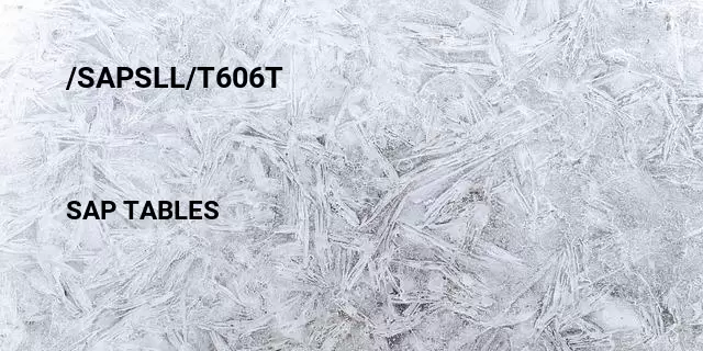 /sapsll/t606t Table in SAP