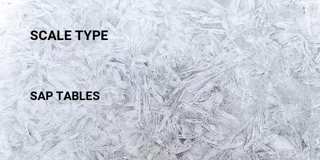 Scale type Table in SAP