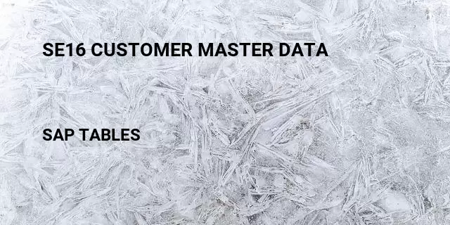 Se16 customer master data Table in SAP