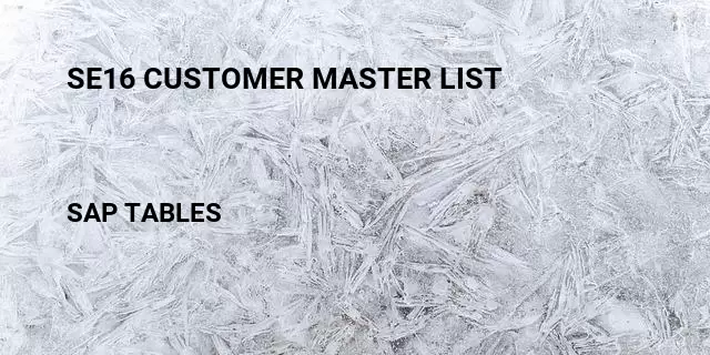 Se16 customer master list Table in SAP