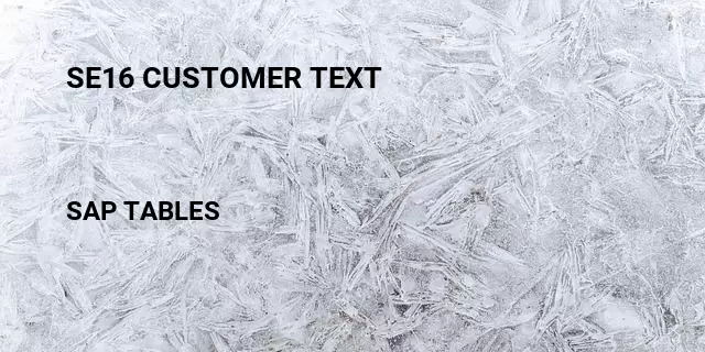 Se16 customer text Table in SAP