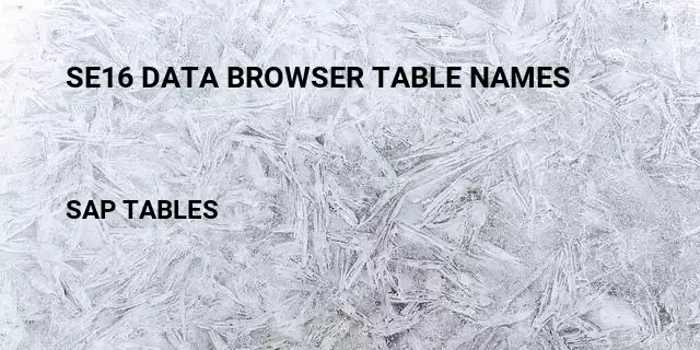 Se16 data browser table names Table in SAP