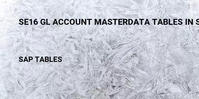 Se16 gl account masterdata tables in sap Table in SAP