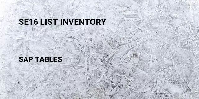 Se16 list inventory Table in SAP