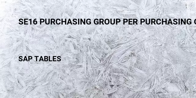 Se16 purchasing group per purchasing organization Table in SAP