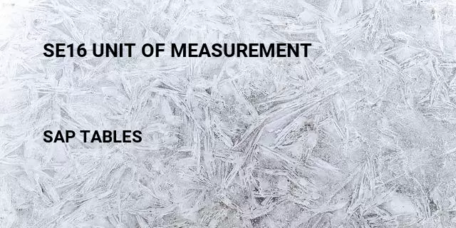 Se16 unit of measurement Table in SAP