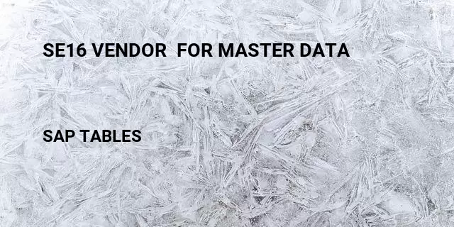 Se16 vendor  for master data Table in SAP