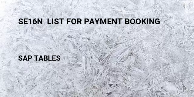 Se16n  list for payment booking Table in SAP