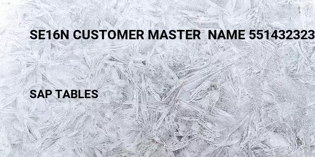Se16n customer master  name 551432323 Table in SAP