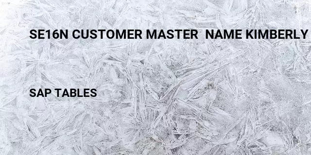 Se16n customer master  name kimberly leblanc Table in SAP