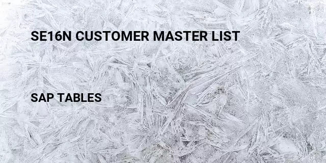 Se16n customer master list Table in SAP