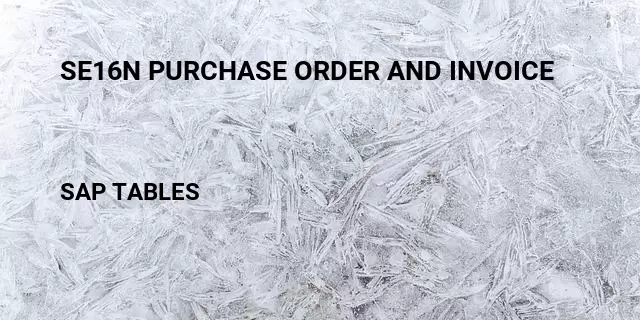 Se16n purchase order and invoice Table in SAP