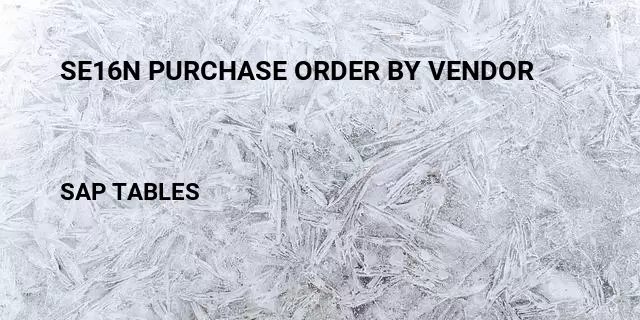Se16n purchase order by vendor Table in SAP