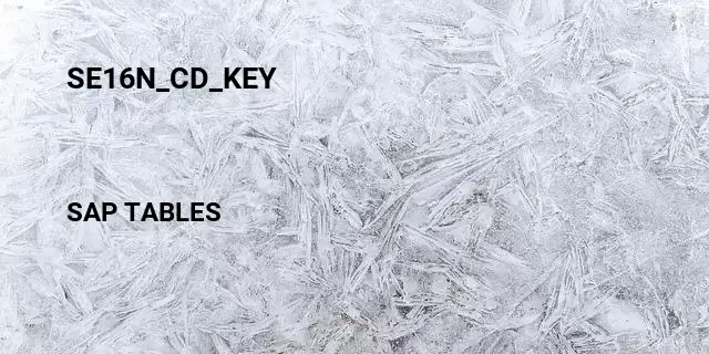 Se16n_cd_key Table in SAP