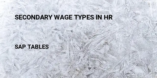Secondary wage types in hr Table in SAP