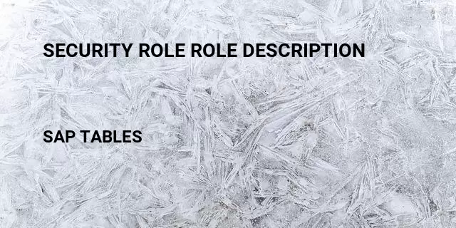 Security role role description Table in SAP