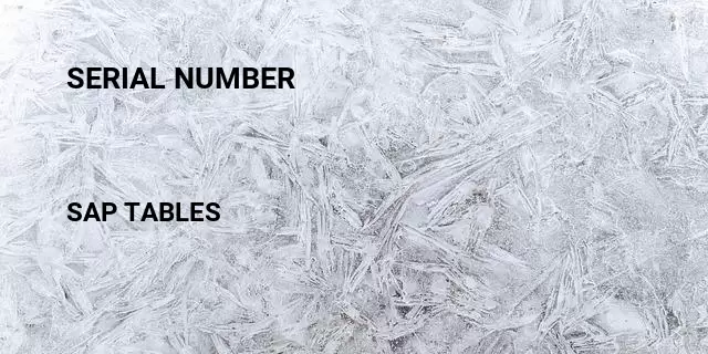 Serial Number Table In SAP