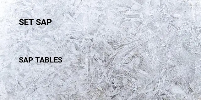 Set sap Table in SAP