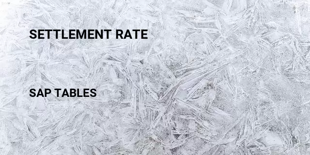 Settlement rate  Table in SAP