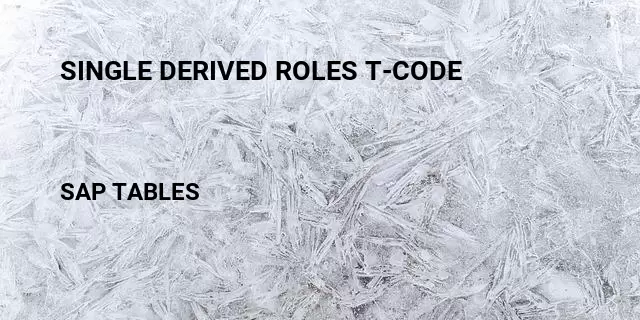 Single derived roles t-code Table in SAP