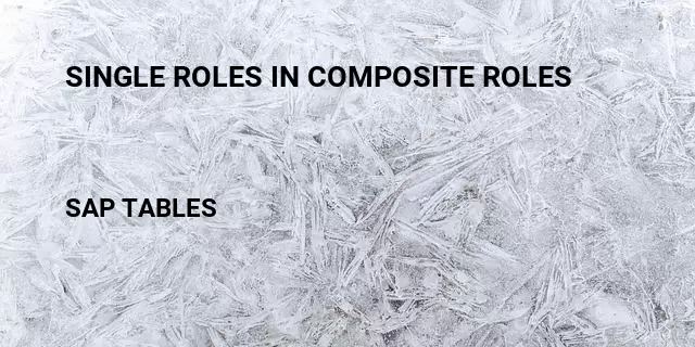 Single roles in composite roles Table in SAP