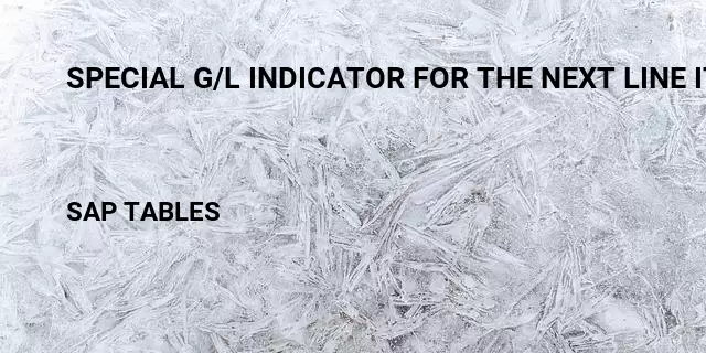 Special g/l indicator for the next line item Table in SAP