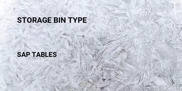 Storage bin type Table in SAP