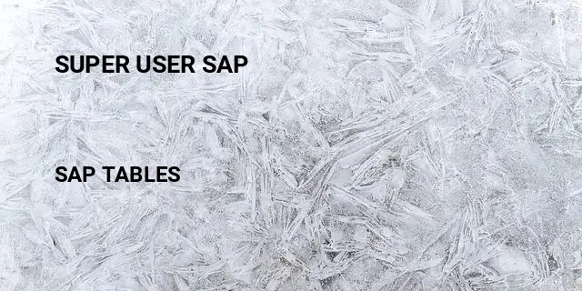 Super user sap Table in SAP