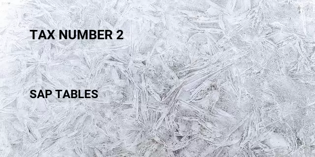 Tax number 2 Table in SAP