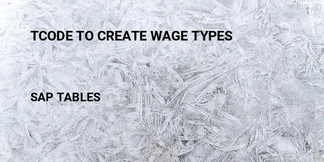 Tcode to create wage types Table in SAP