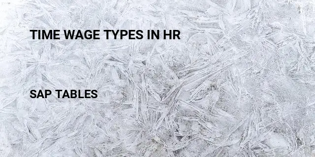 Time wage types in hr Table in SAP