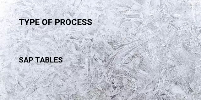 Type of process Table in SAP