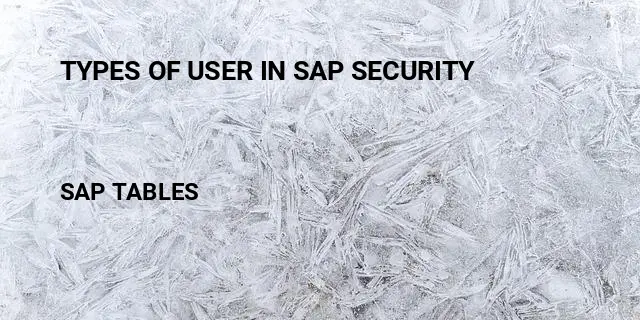 Types of user in sap security Table in SAP