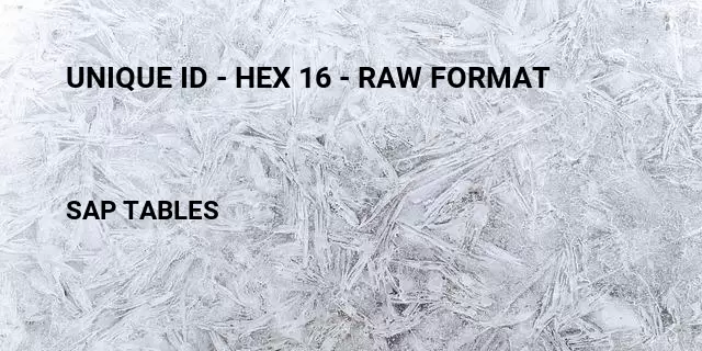 Unique id - hex 16 - raw format Table in SAP