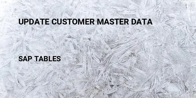Update customer master data Table in SAP
