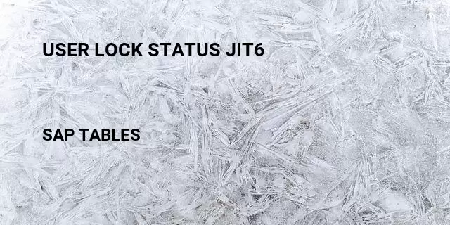 User lock status jit6 Table in SAP