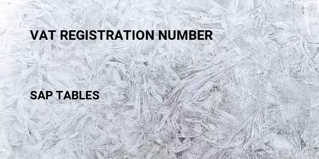 Vat registration number Table in SAP