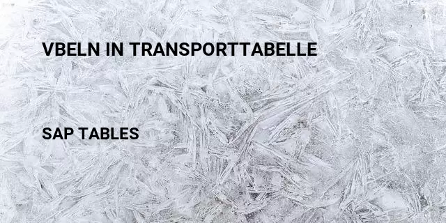 Vbeln in transporttabelle Table in SAP